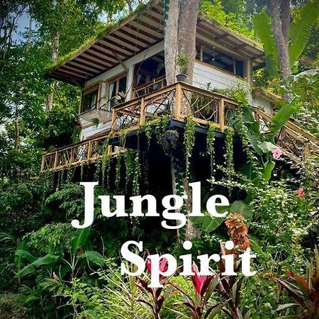 Jungle Spirit Treehouse Villa Cahuita Eksteriør billede