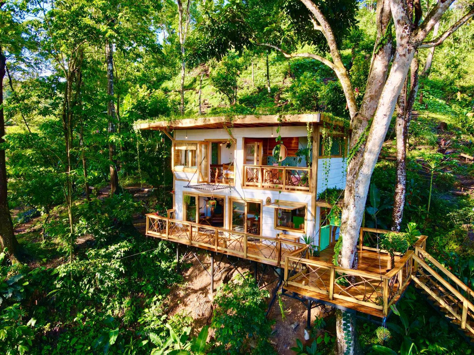 Jungle Spirit Treehouse Villa Cahuita Eksteriør billede