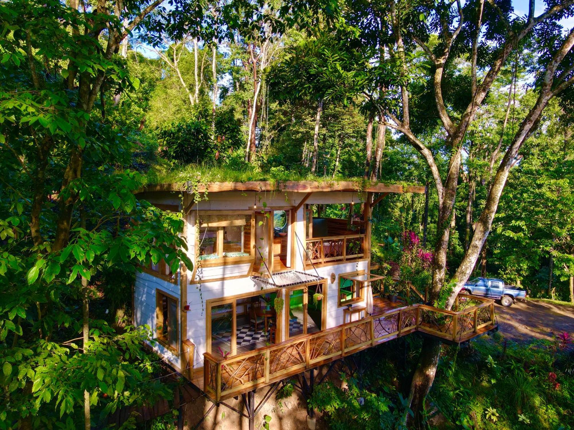 Jungle Spirit Treehouse Villa Cahuita Eksteriør billede