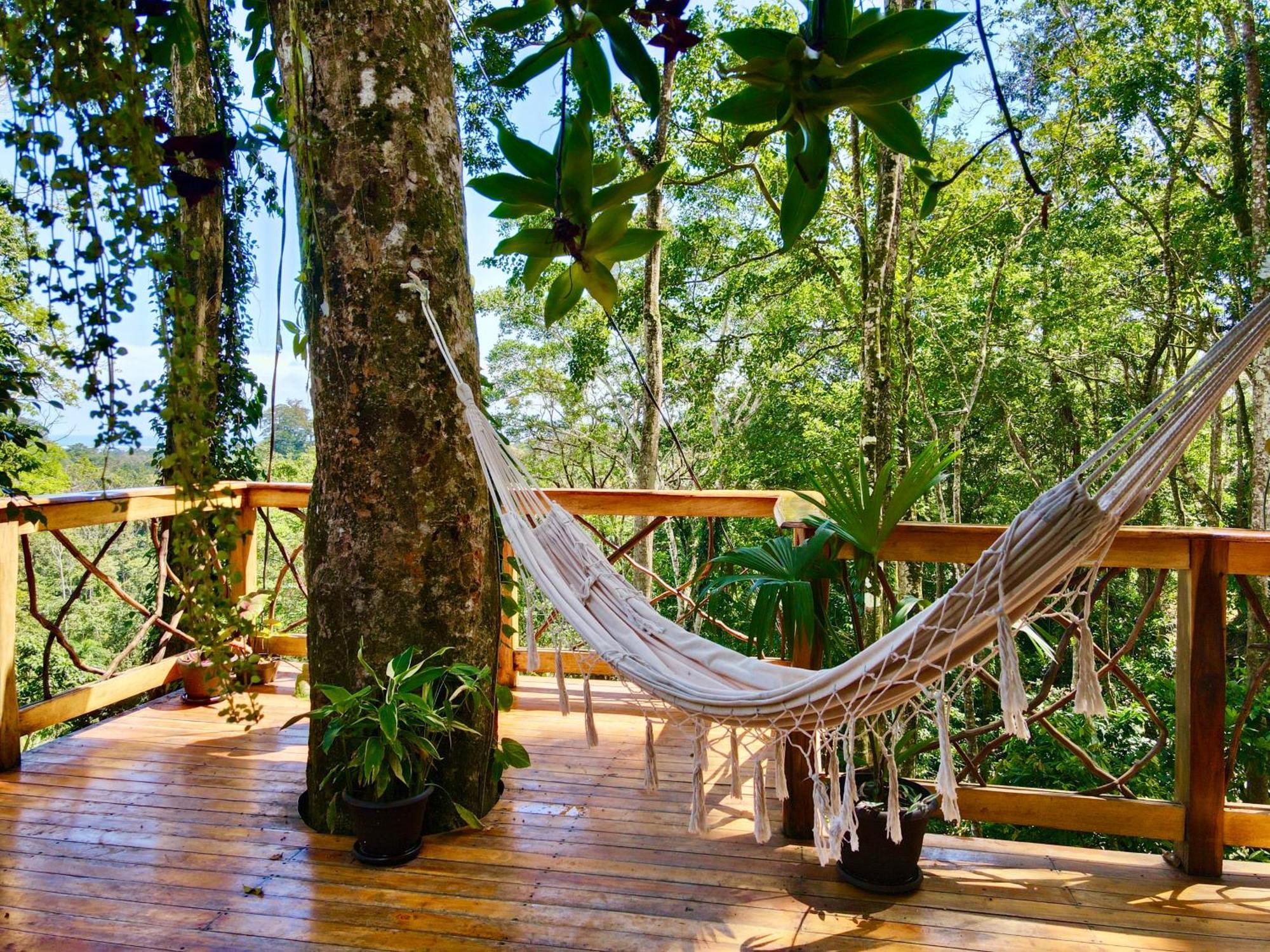 Jungle Spirit Treehouse Villa Cahuita Eksteriør billede