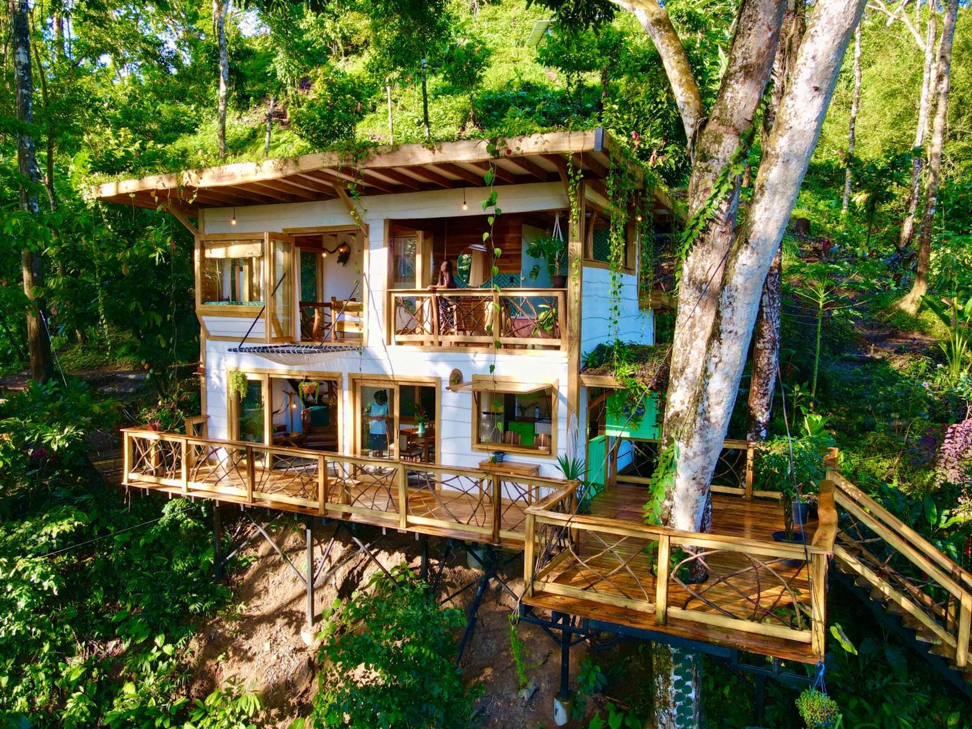 Jungle Spirit Treehouse Villa Cahuita Eksteriør billede