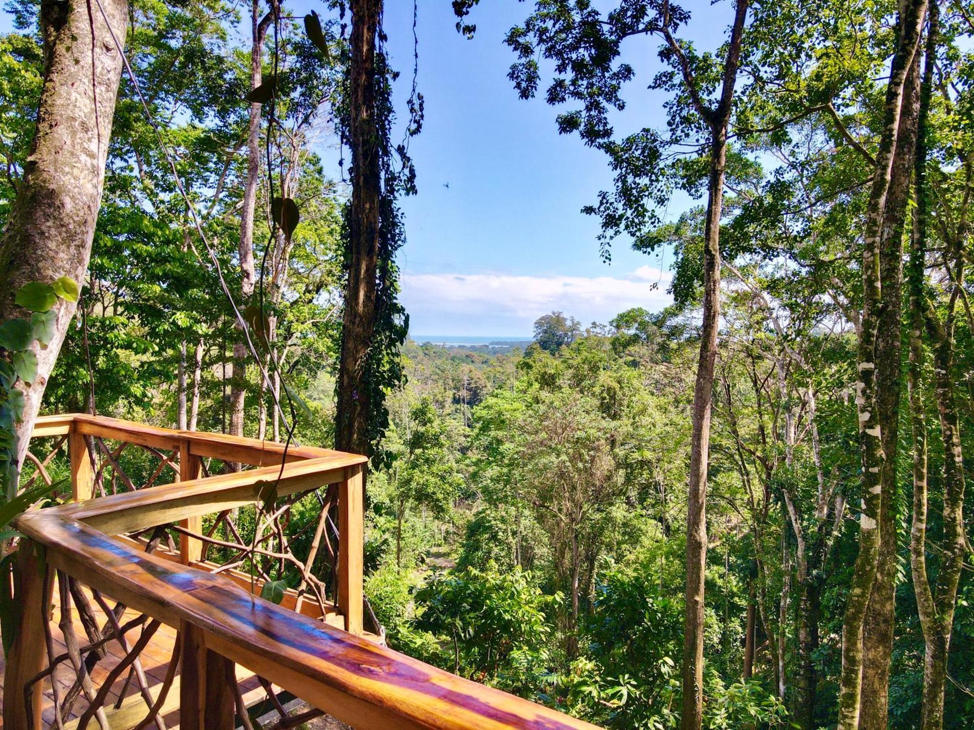 Jungle Spirit Treehouse Villa Cahuita Eksteriør billede