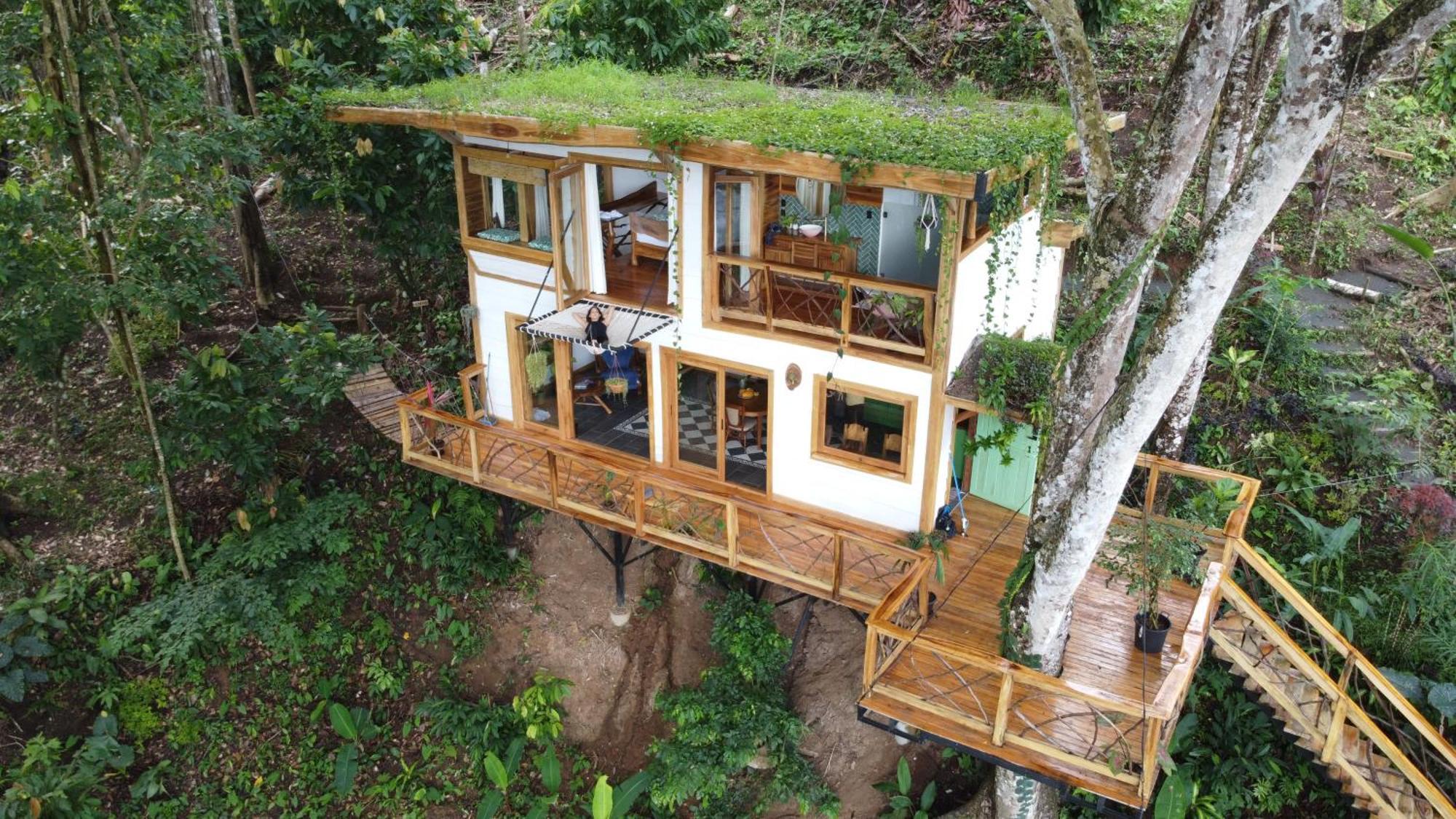 Jungle Spirit Treehouse Villa Cahuita Eksteriør billede