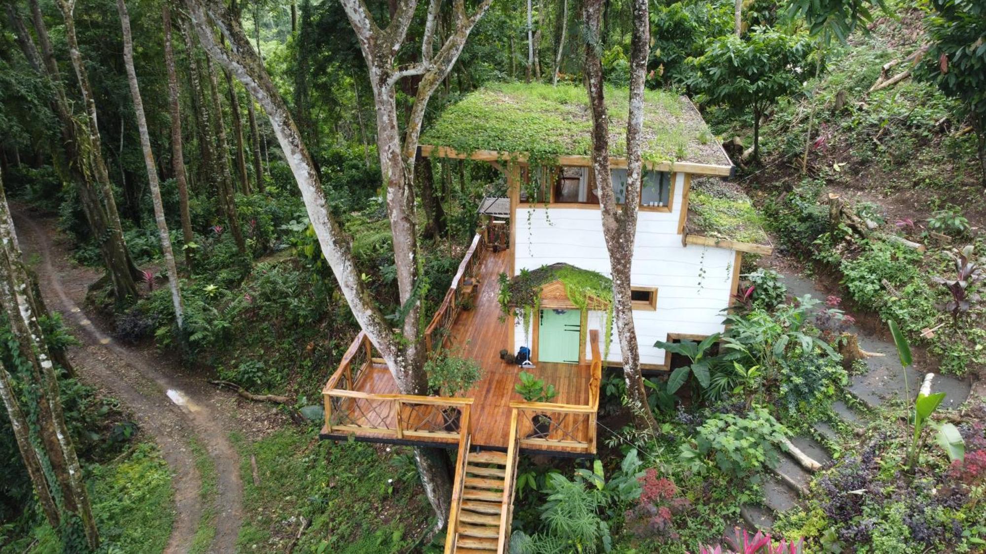 Jungle Spirit Treehouse Villa Cahuita Eksteriør billede