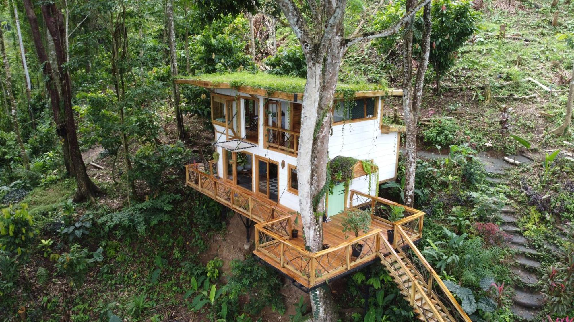 Jungle Spirit Treehouse Villa Cahuita Eksteriør billede