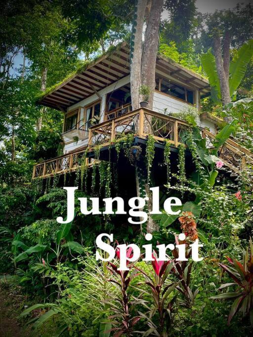 Jungle Spirit Treehouse Villa Cahuita Eksteriør billede