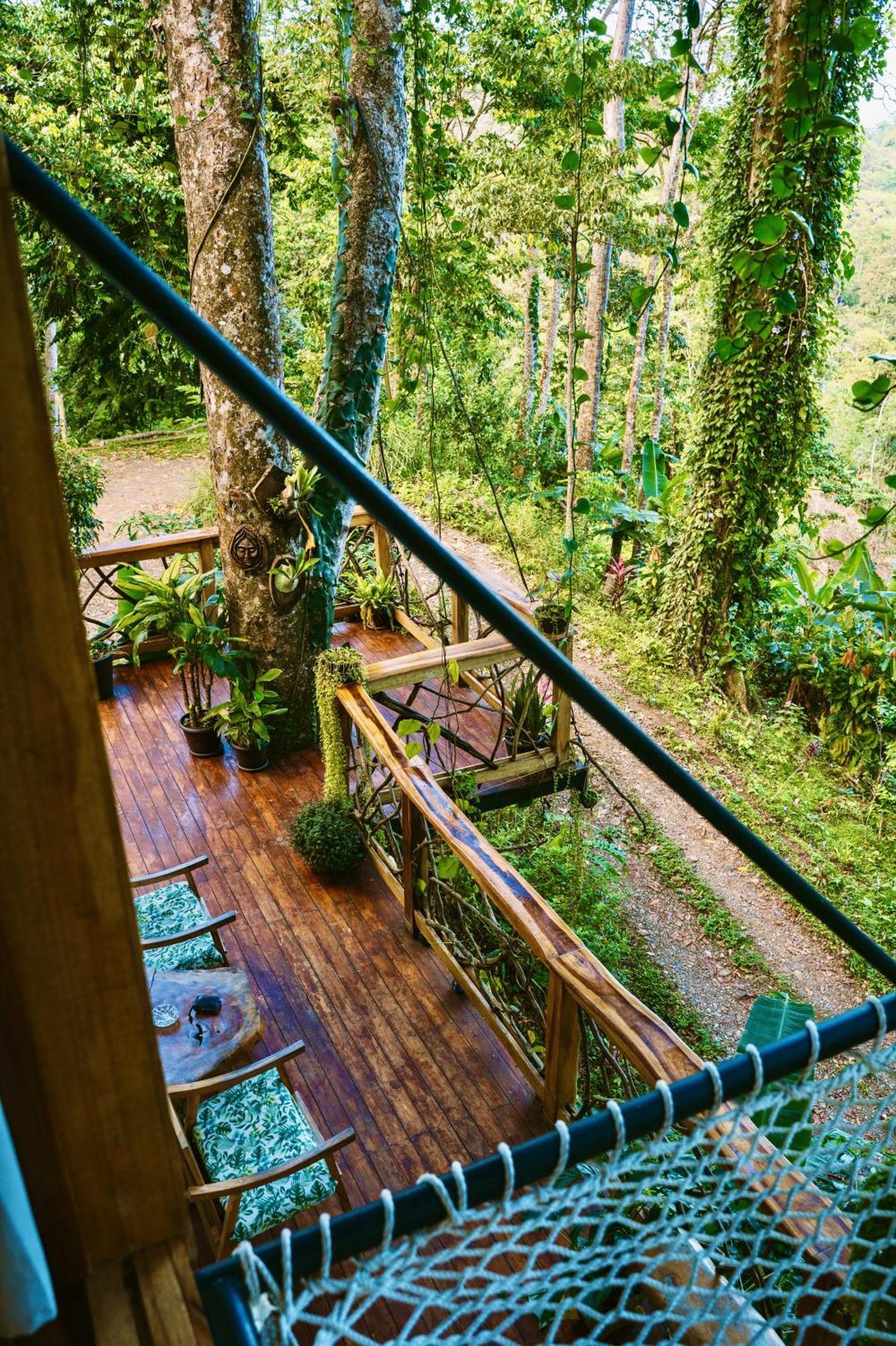 Jungle Spirit Treehouse Villa Cahuita Eksteriør billede