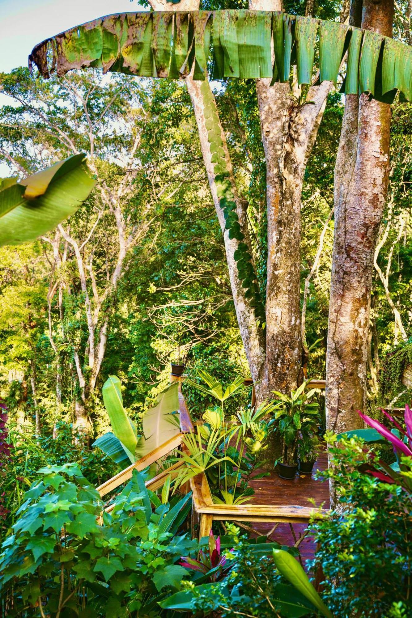 Jungle Spirit Treehouse Villa Cahuita Eksteriør billede