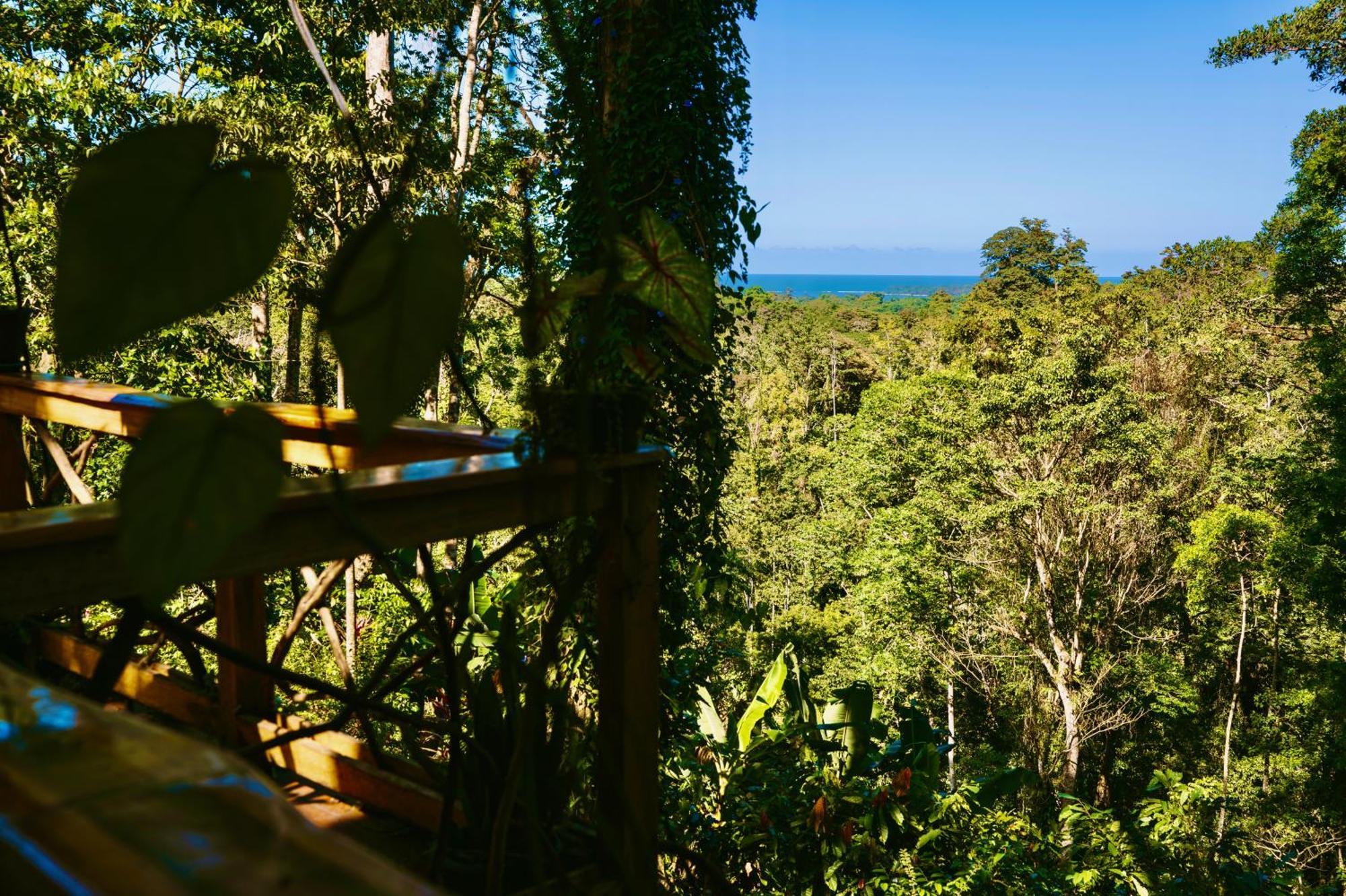 Jungle Spirit Treehouse Villa Cahuita Eksteriør billede