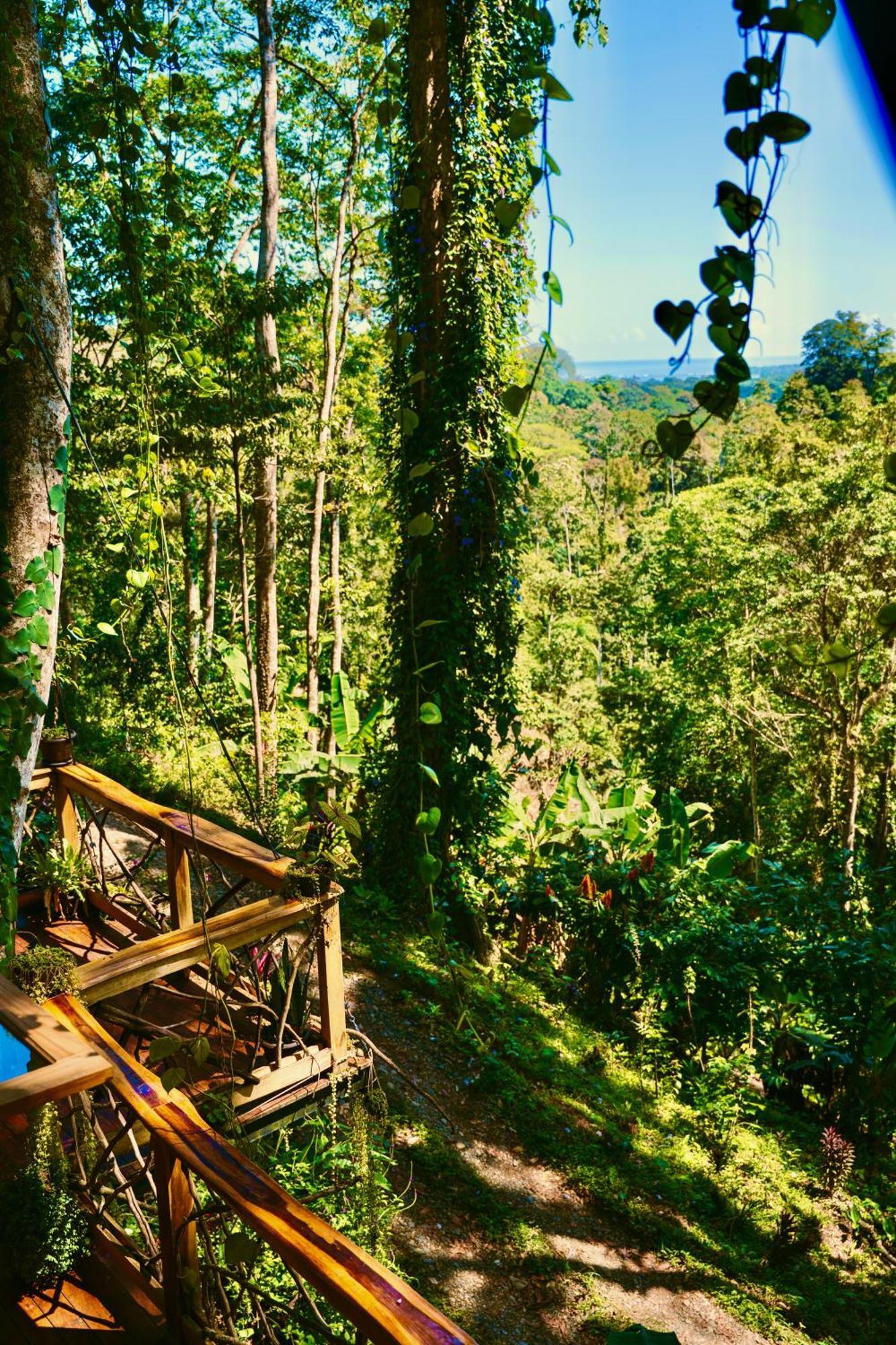 Jungle Spirit Treehouse Villa Cahuita Eksteriør billede