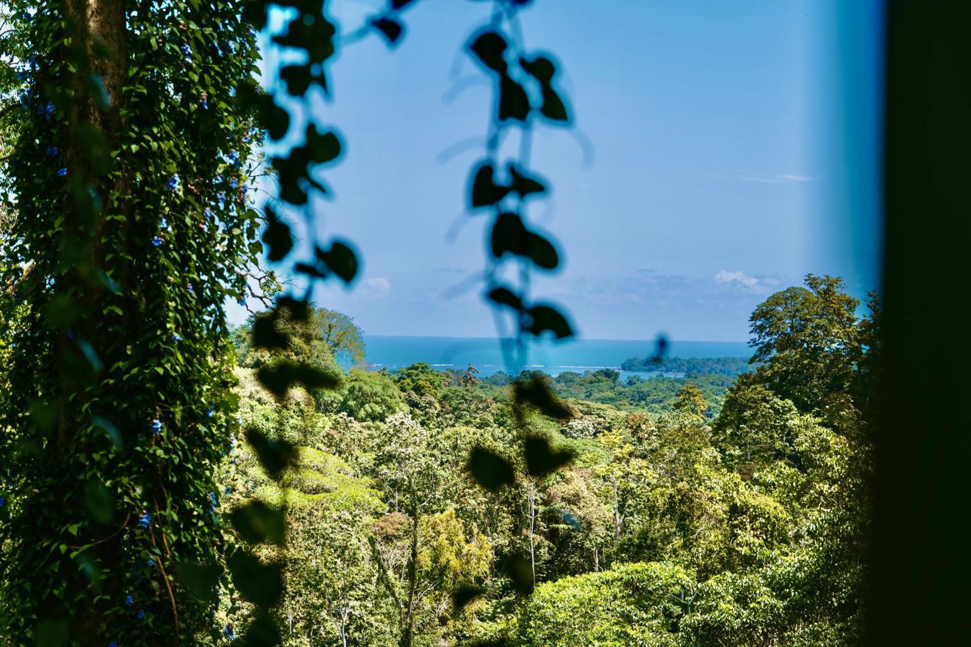 Jungle Spirit Treehouse Villa Cahuita Eksteriør billede